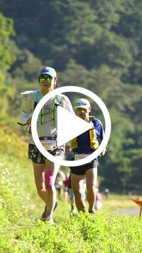 BIB:  <button type="button" onclick="openModal(26576699)" class="btn btn-primary btn-sm float-right" data-toggle="modal" data-target=".modal-high-quality">
                <i class="fa fa-download"></i> Download
                </button>